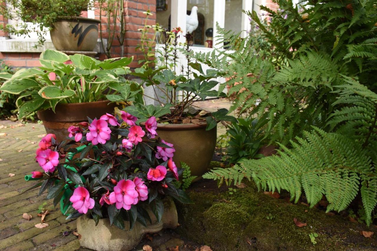 Bed&Breakfast Leonie Den Haag Exterior foto